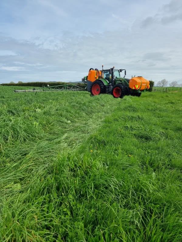 Claas Jaguar 980 self-propelled forage harvester parked across rows of mown grass on rolling hill country under a blue sky with scattered cloud