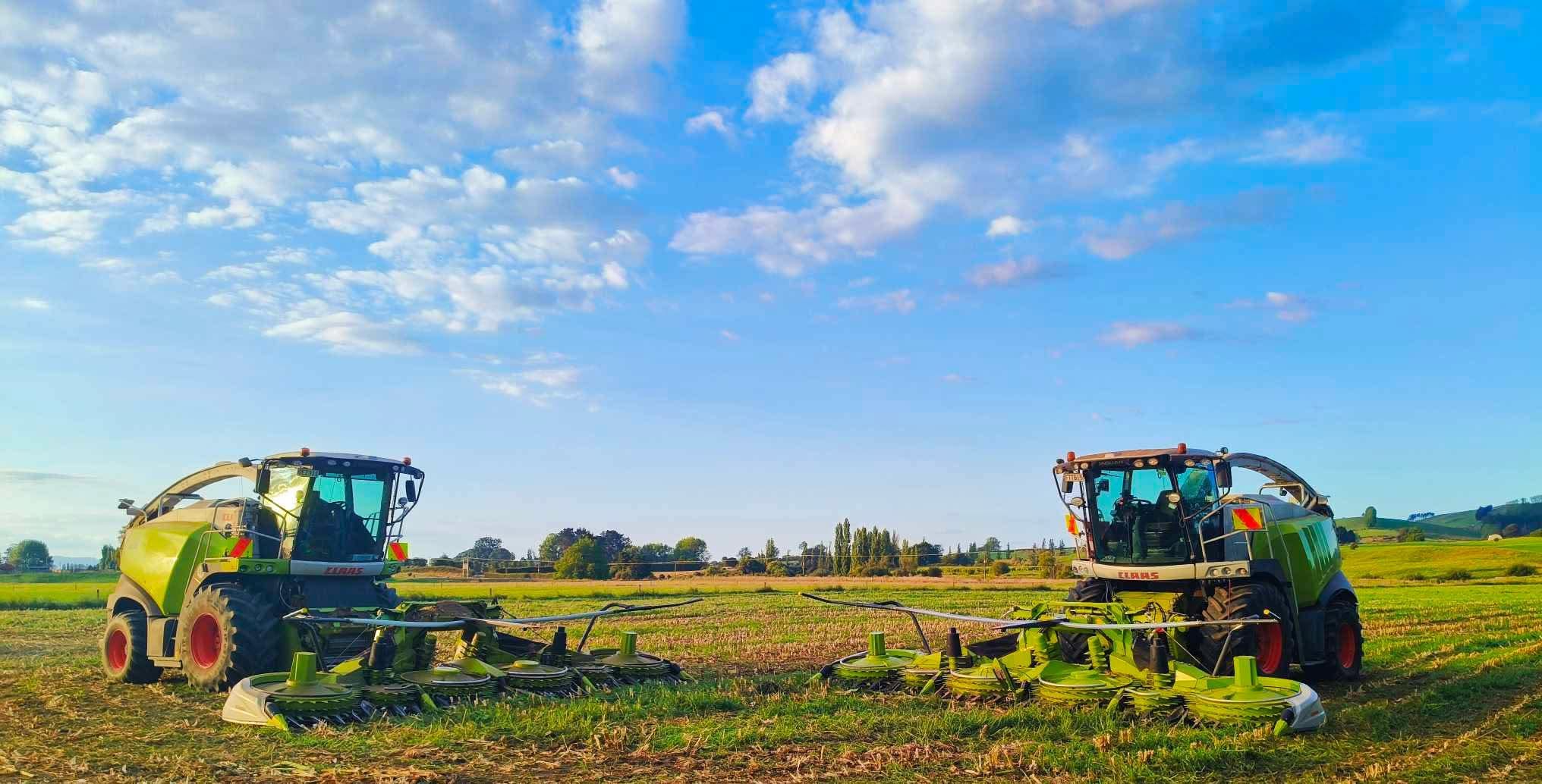 Two Claas Jaguar forage harvesters parked in a harvested maize paddock with their maize header fronts detached on the ground, late afternoon light over the Waikato flats