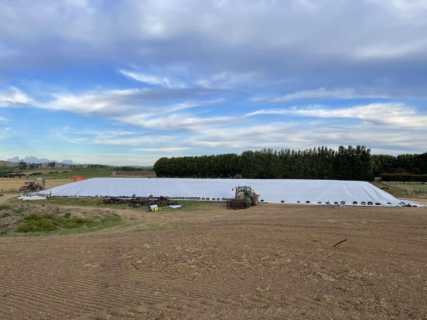 Tractor and digger working alongside a long maize silage pit covered with white plastic and rows of tyres