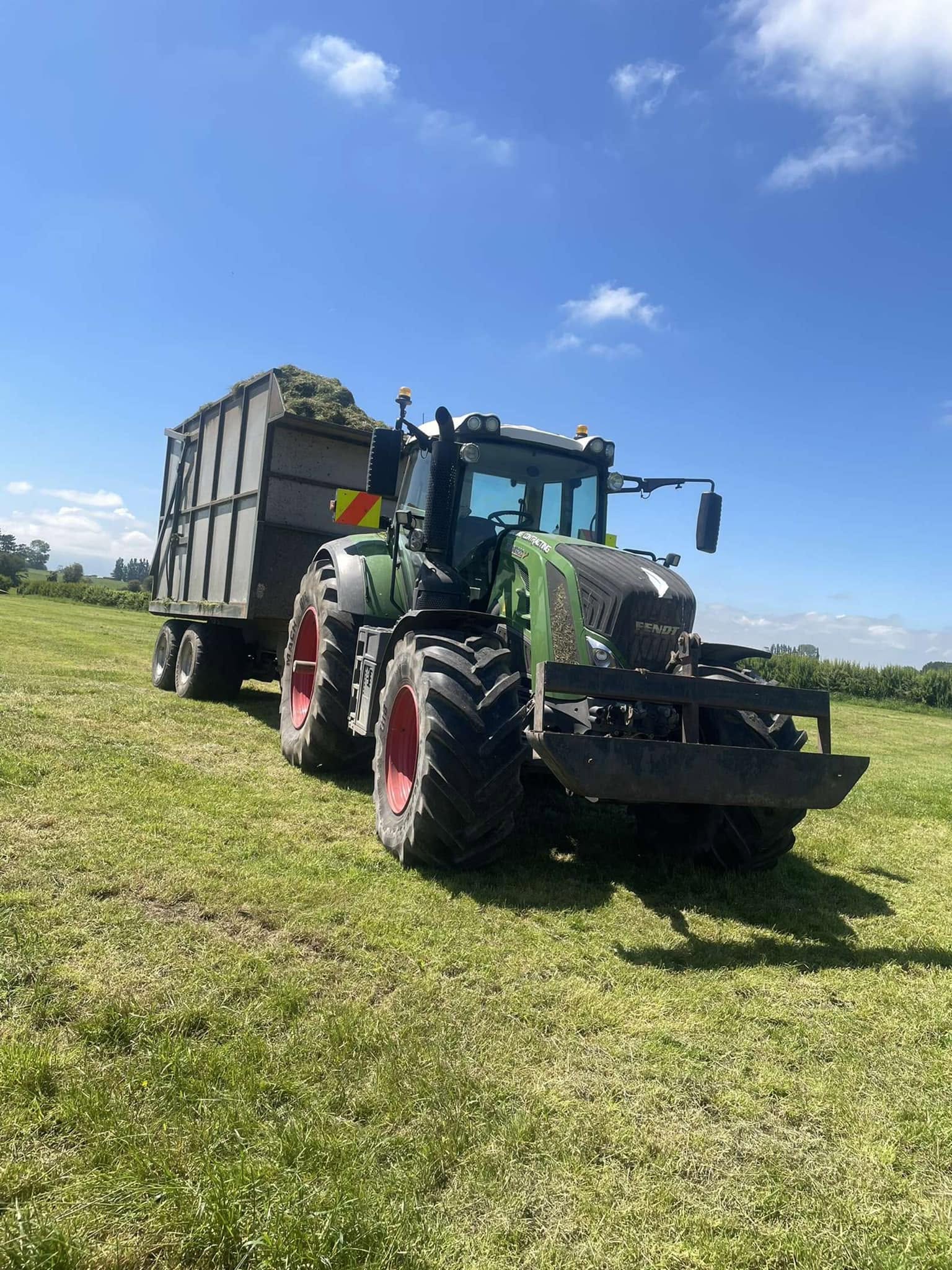 Green Fendt tractor in Walling Contracting livery towing a trailer heaped with chopped grass silage across a mown paddock under a clear blue sky